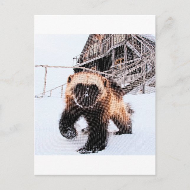 Carte Postale Wolverine gravée (Devant)
