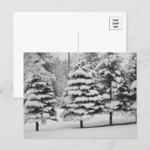 Carte Postale Wonderland d'hiver du Vermont en B&W