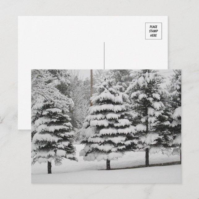 Carte Postale Wonderland d'hiver du Vermont en B&W (Devant / Derrière)