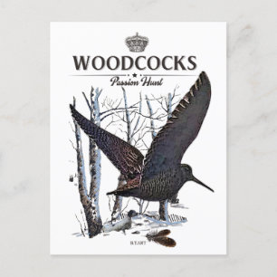 Carte Postale Woodcocks - Chasse à la passion