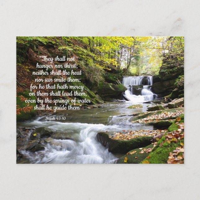 Carte Postale Woodland Stream avec message biblique réconfortant (Devant)