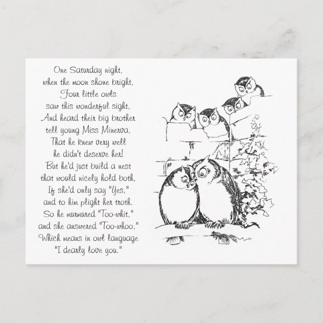 Carte Postale Wooing Owl a une audience (Devant)