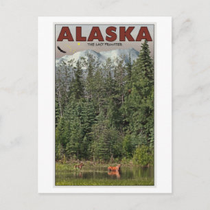 Carte Postale Wrangell-St Elias - La dernière frontière