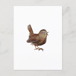 Carte Postale Wren Bird chante bruyante et belle chanson