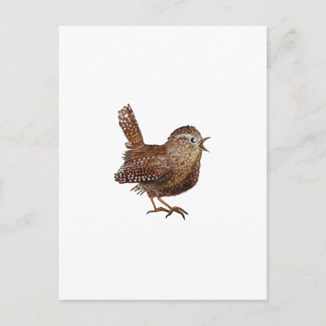 Carte Postale Wren Bird chante bruyante et belle chanson (Devant)