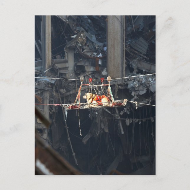 CARTE POSTALE WTC6 (Devant)