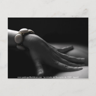 Carte Postale www.pedroguillenfalcon.com