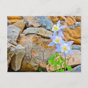 Carte Postale Wyoming, Grand Teton National Park 1