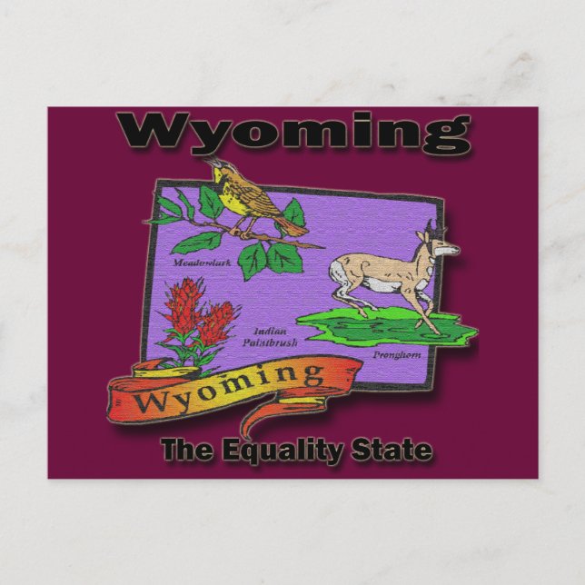 Carte Postale Wyoming The Equality State Bird Cher Bush (Devant)