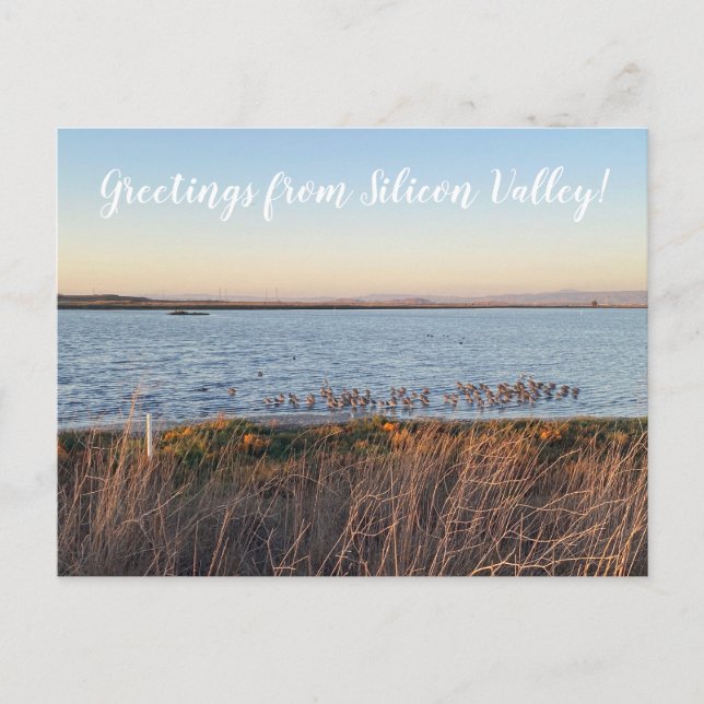 Carte Postale X.ITINERARIES : Salutations de la Silicon Valley ! (Devant)