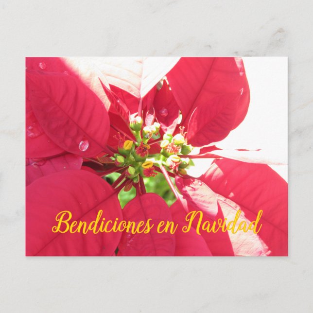 Carte postale Xmas 003 - Espagnol - Carte postale (Devant)