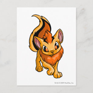 Carte Postale Xweetok Orange