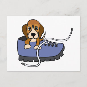 Carte Postale XX- Beagle Chien chiot dans un dessin de chaussure