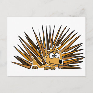 Carte Postale XX- Caricature d'art Porcupine