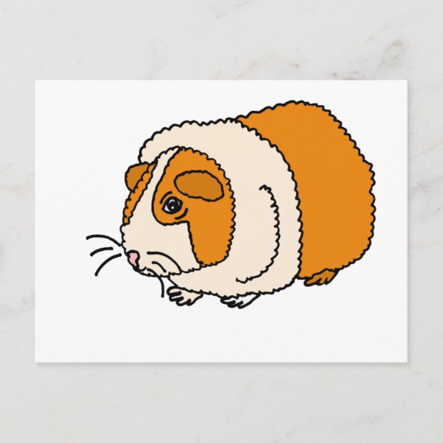 Carte Postale XX- Caricature de cochon de Guinée mignon (Devant)