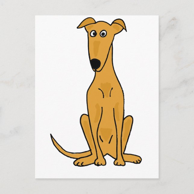 Carte Postale XX- Drôle Carton de Chien Greyhound (Devant)