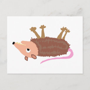 Carte Postale XX- Drôle Drôle Caricature de Possum Morte