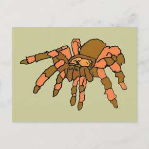 Carte Postale XX- Hilarious araignée de Tarantula