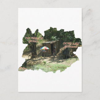 Carte Postale Ya Man ~ Ochos Rios Jamaïque