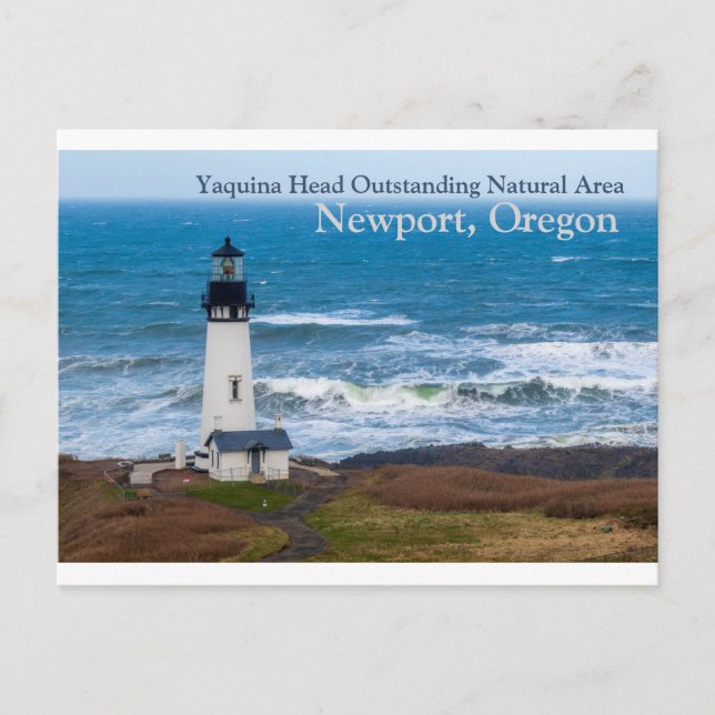 Carte Postale Yaquina Head Superbe zone naturelle Phare (Devant)