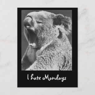 Carte Postale Yawning Koala