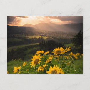 Carte Postale Yellow Hardy Sunflower Art Meilleures photos de to