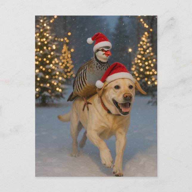 Carte Postale Yellow Labrador and Partridge Christmas postcard (Devant)