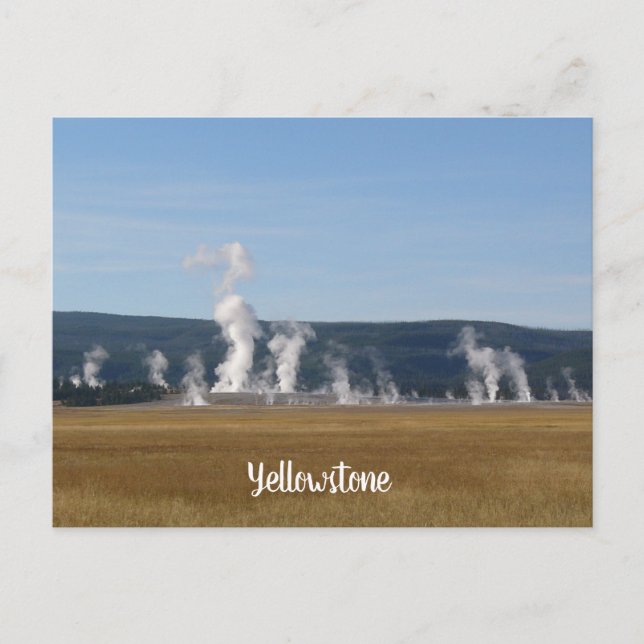 Carte postale Yellowstone (Devant)