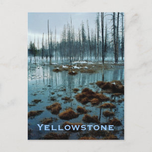 Carte postale Yellowstone