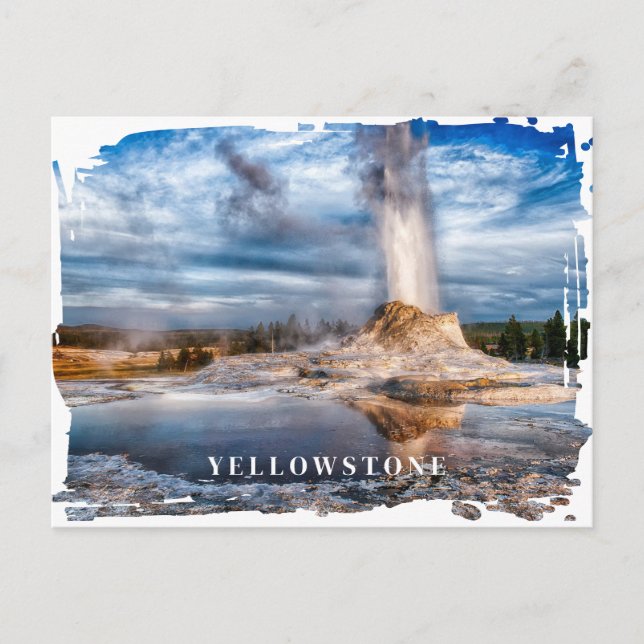 Carte postale Yellowstone Geyser (Devant)