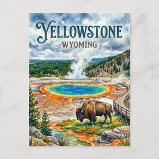 Carte Postale Yellowstone National Park USA