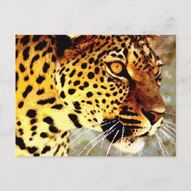 Carte Postale Yeux du léopard (Devant)