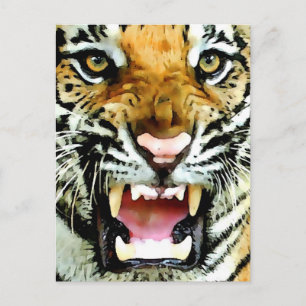 Carte Postale Yeux du tigre