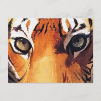 Carte Postale "Yeux du tigre" Aquarelle Paul Jackson