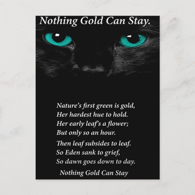 Carte Postale Yeux fixes (Devant)