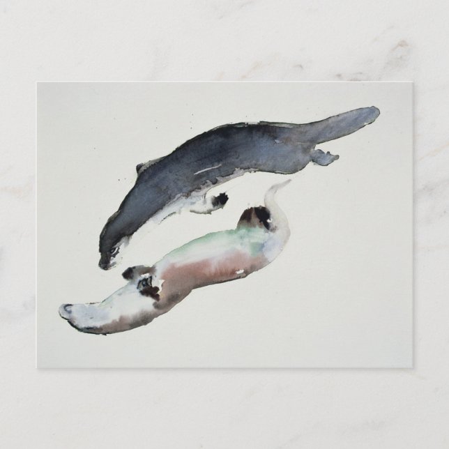 Carte Postale Yin Yang (Devant)