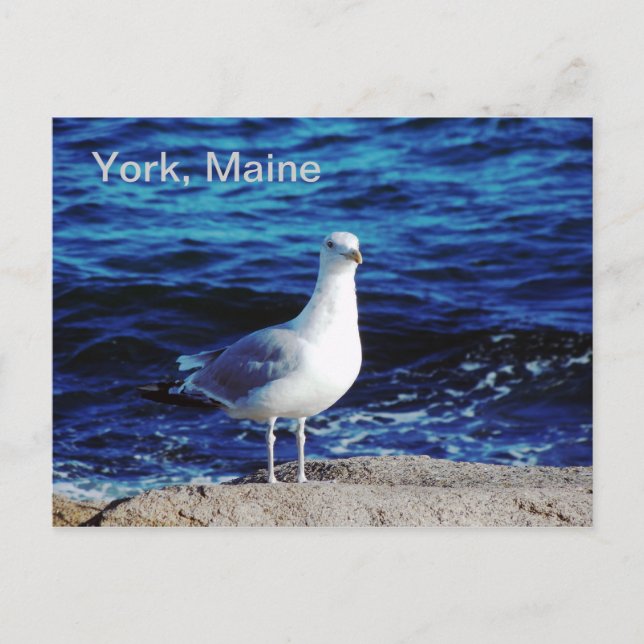 Carte postale York, Maine (Devant)
