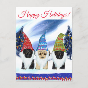CARTE POSTALE YORKIE POO