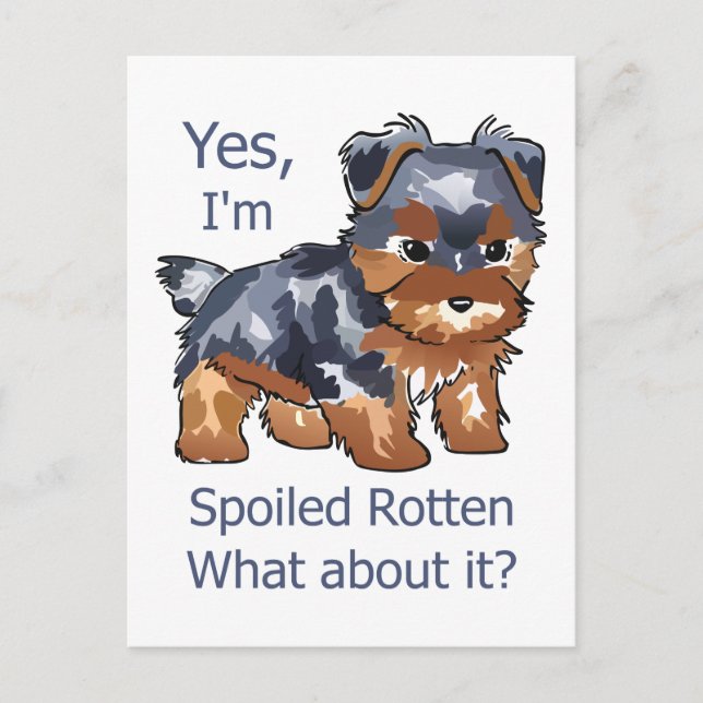 Carte Postale Yorkie pourri (Devant)