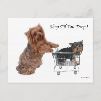 Carte Postale Yorkie Shop Jusqu'à ce que vous lâchiez