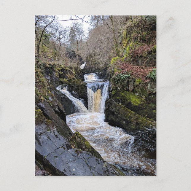 Carte Postale Yorkshire Dales, Ingleton - Pecca Falls (Devant)
