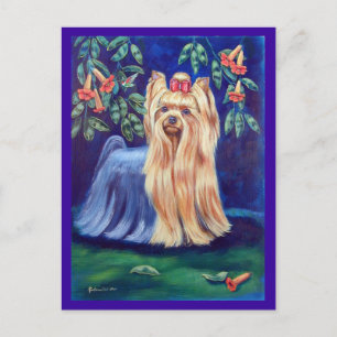 Carte Postale Yorkshire Terrier