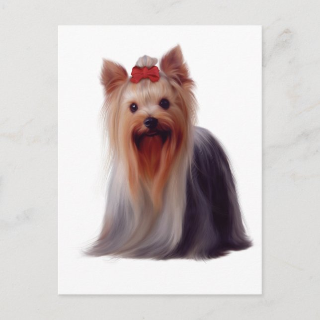 Carte Postale Yorkshire Terrier (Devant)