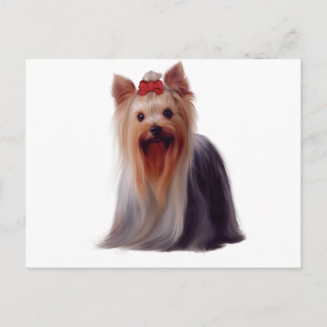 Carte Postale Yorkshire Terrier (Devant)