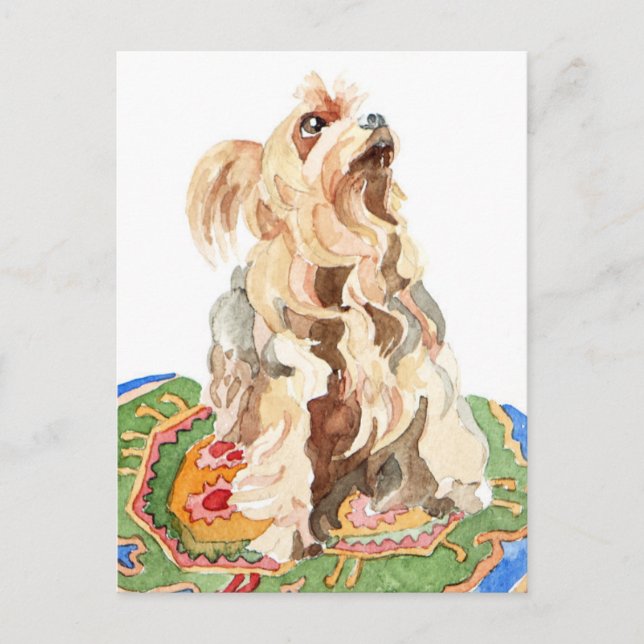 Carte Postale Yorkshire terrier 2012 (Devant)