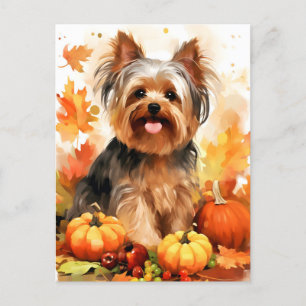 Carte Postale Yorkshire Terrier Automne Thankgiving