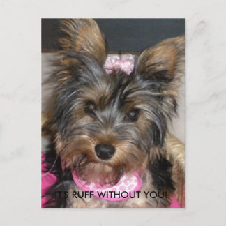 Carte Postale Yorkshire Terrier, C'EST RUFF SANS VOUS !