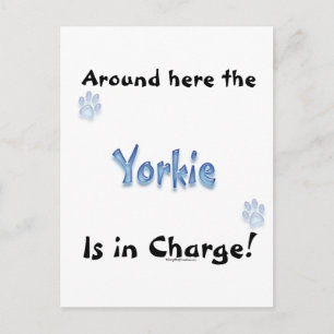 Carte Postale Yorkshire Terrier Charge