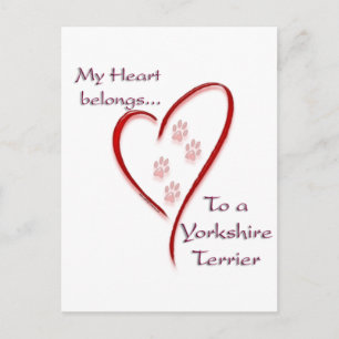 Carte Postale Yorkshire Terrier Coeur Appartient