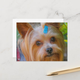 Carte Postale Yorkshire Terrier Yorkie race préférée